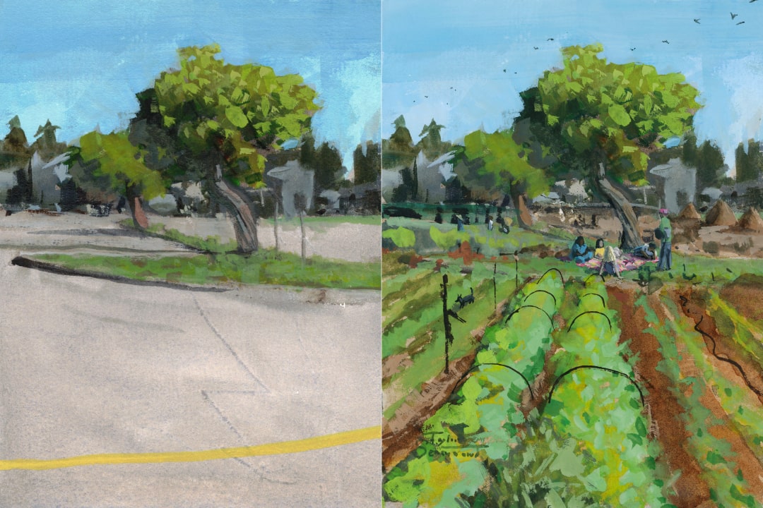 Seacliff Community Garden by Taylor Seamount